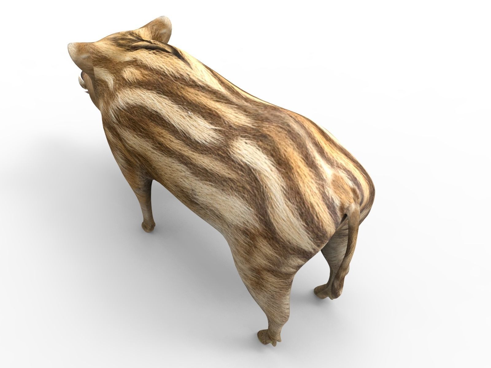3D Boar Rigged 3D Models Low-poly 3D model_9