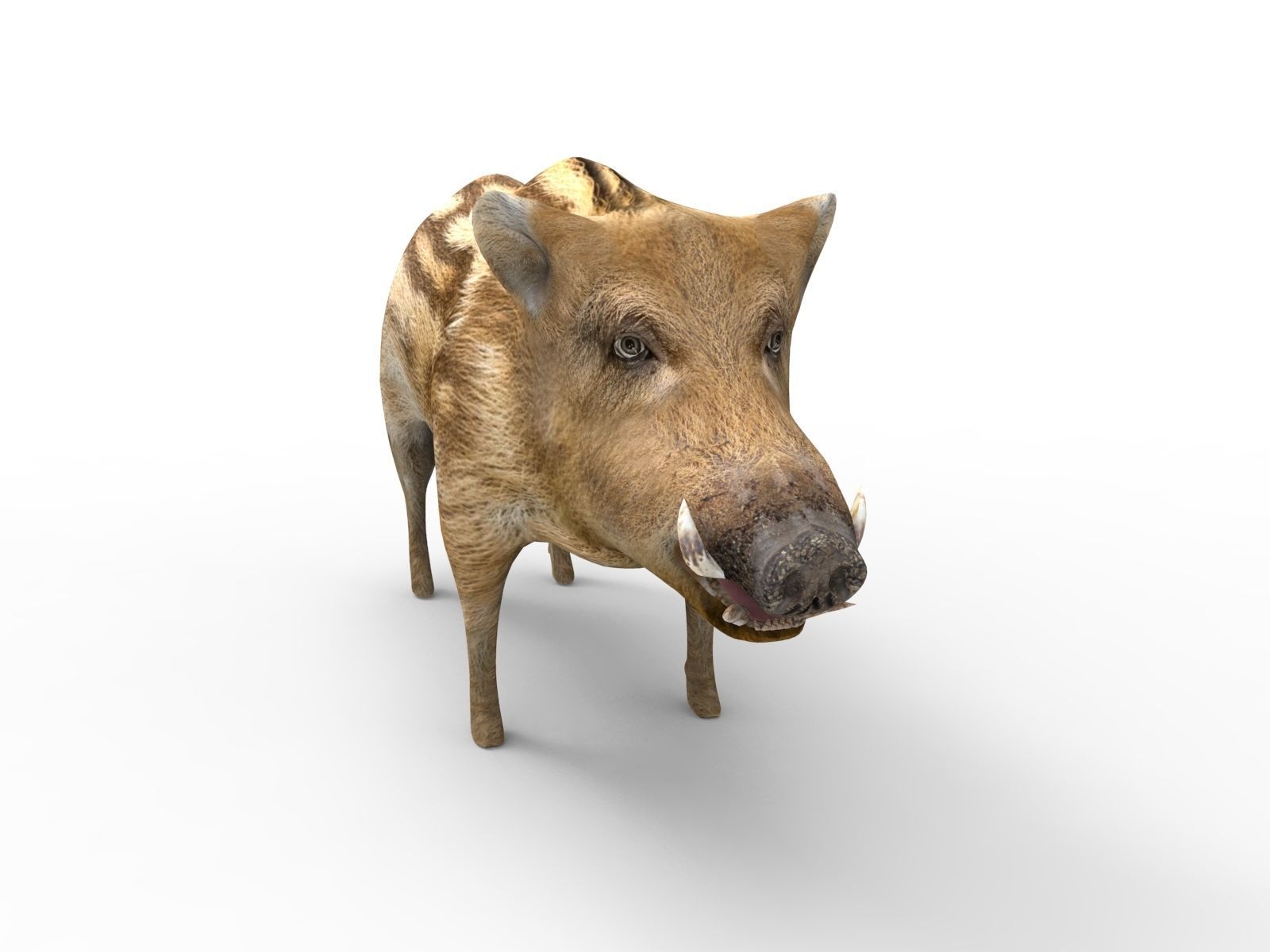 3D Boar Rigged 3D Models Low-poly 3D model_5