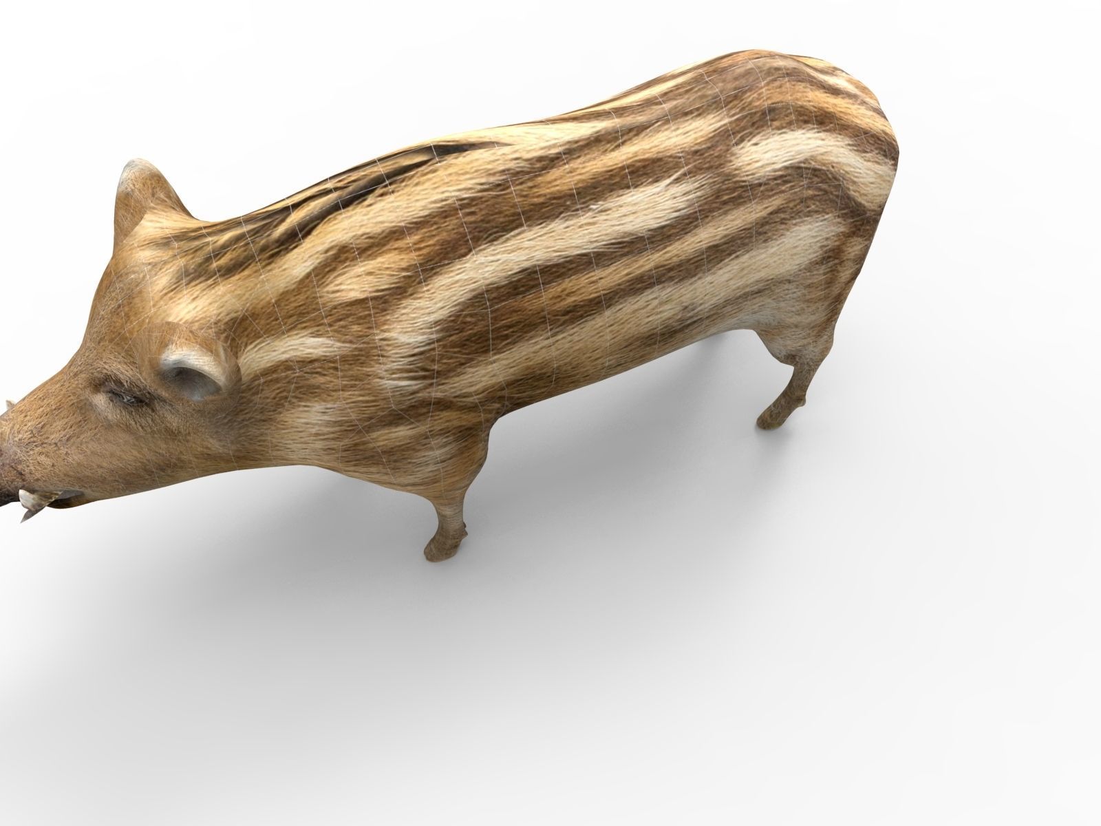 3D Boar Rigged 3D Models Low-poly 3D model_17