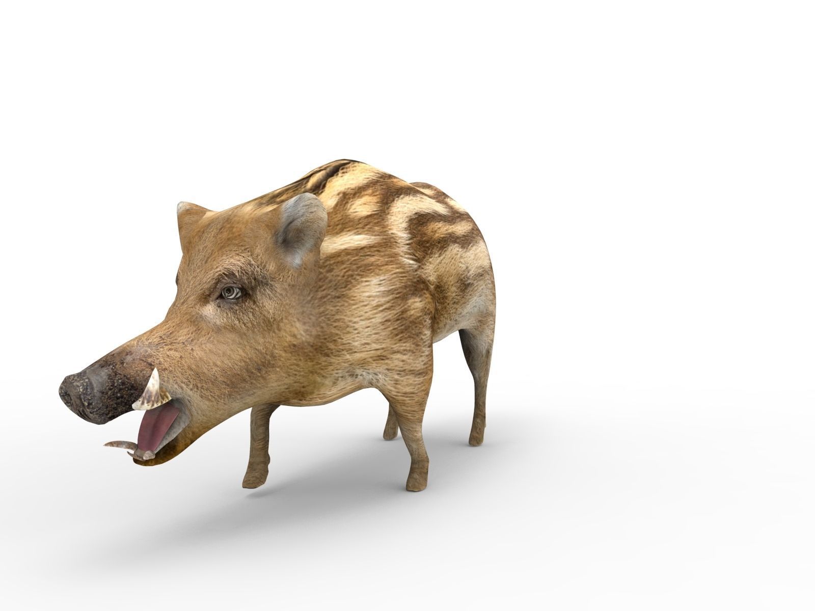 3D Boar Rigged 3D Models Low-poly 3D model_18