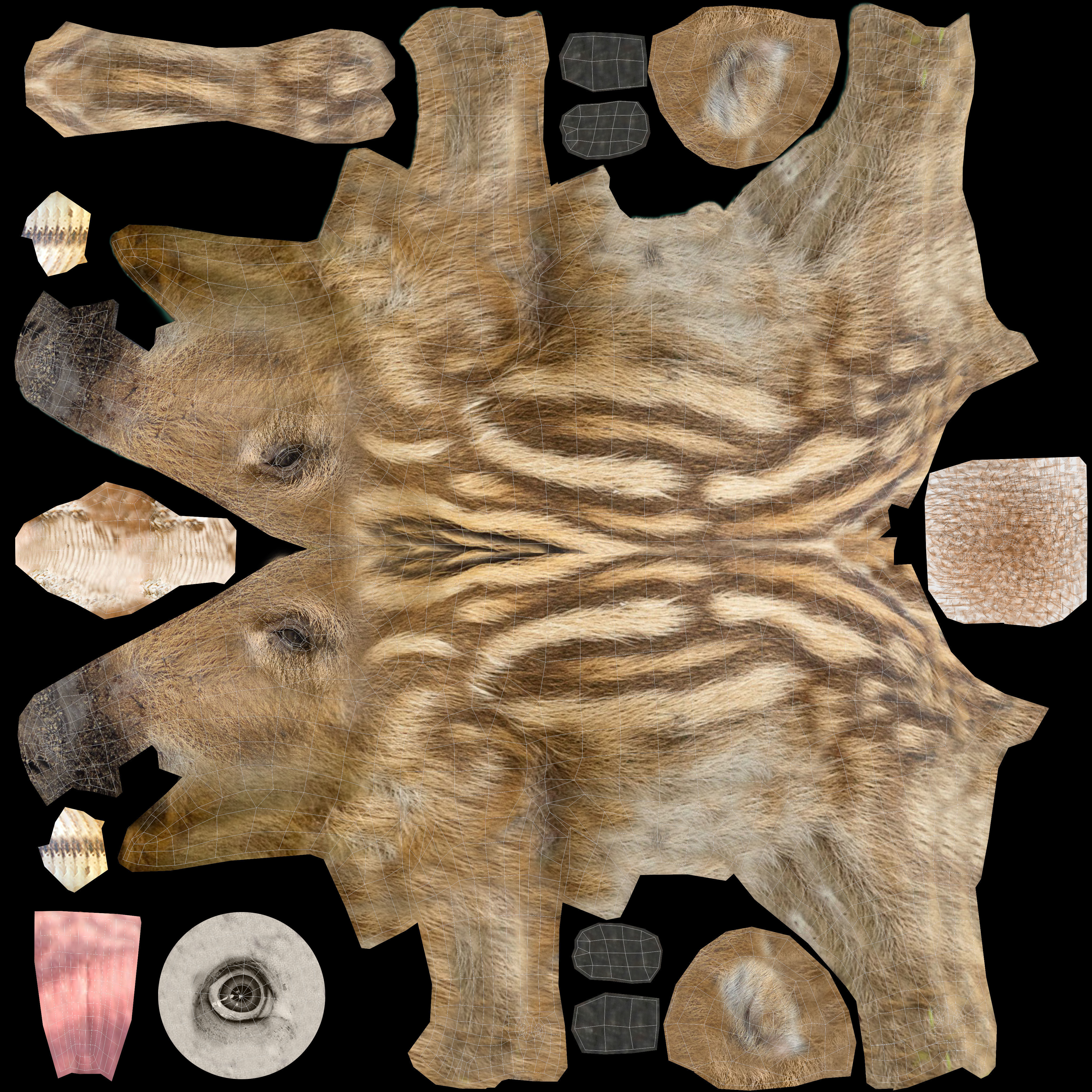 3D Boar Rigged 3D Models Low-poly 3D model_30