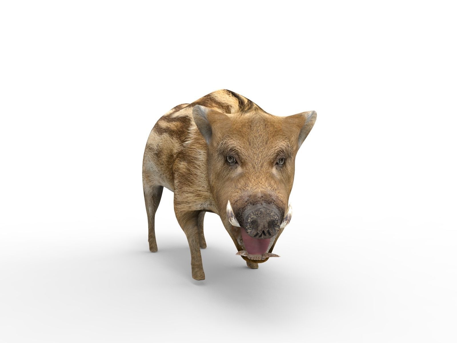 3D Boar Rigged 3D Models Low-poly 3D model_19