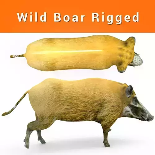 3D Wild Boar Rigged 3D Model