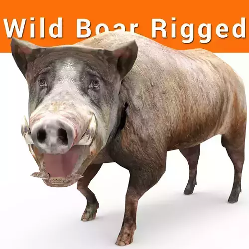 3D low poly Wild Boar Rigged