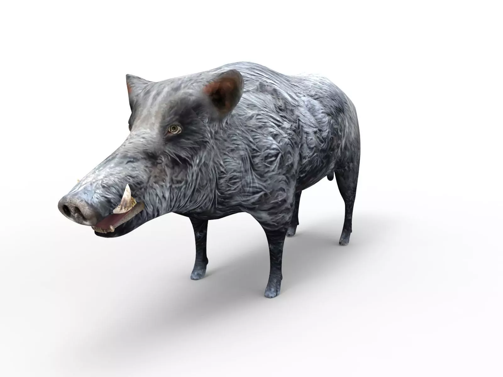 3D Wild Boar Rigged 3D Models Low-poly 3D model_0
