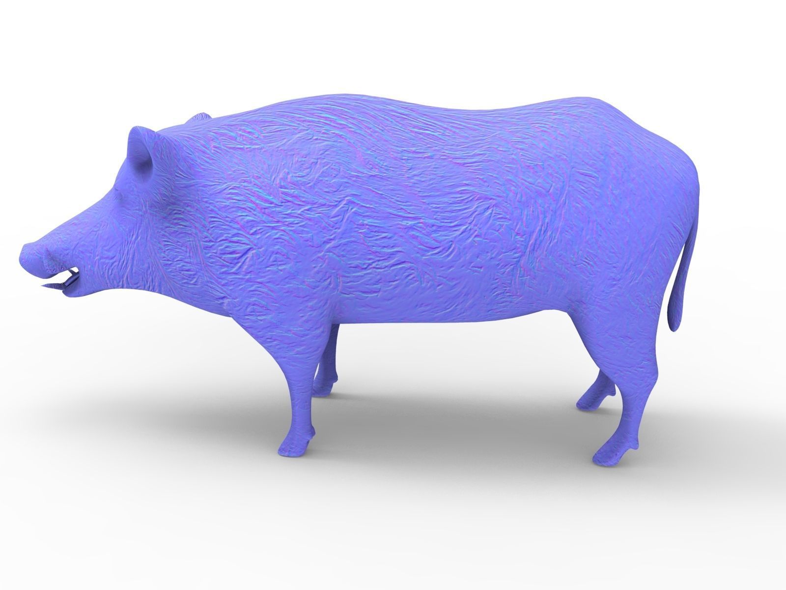 3D Wild Boar Rigged 3D Models Low-poly 3D model_11