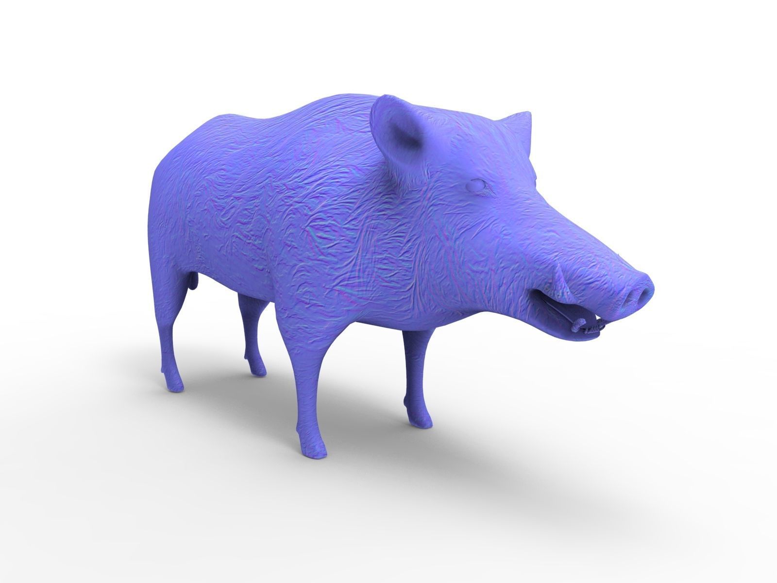3D Wild Boar Rigged 3D Models Low-poly 3D model_10