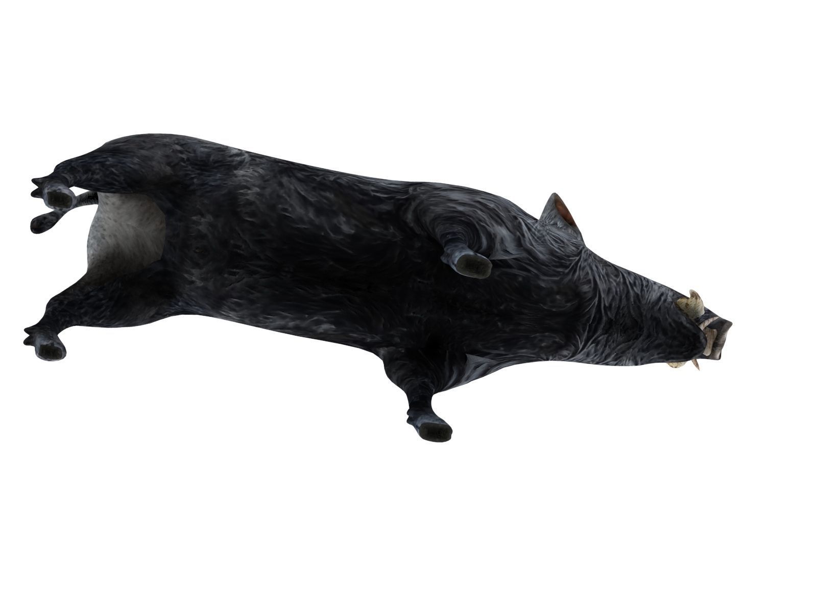 3D Wild Boar Rigged 3D Models Low-poly 3D model_9