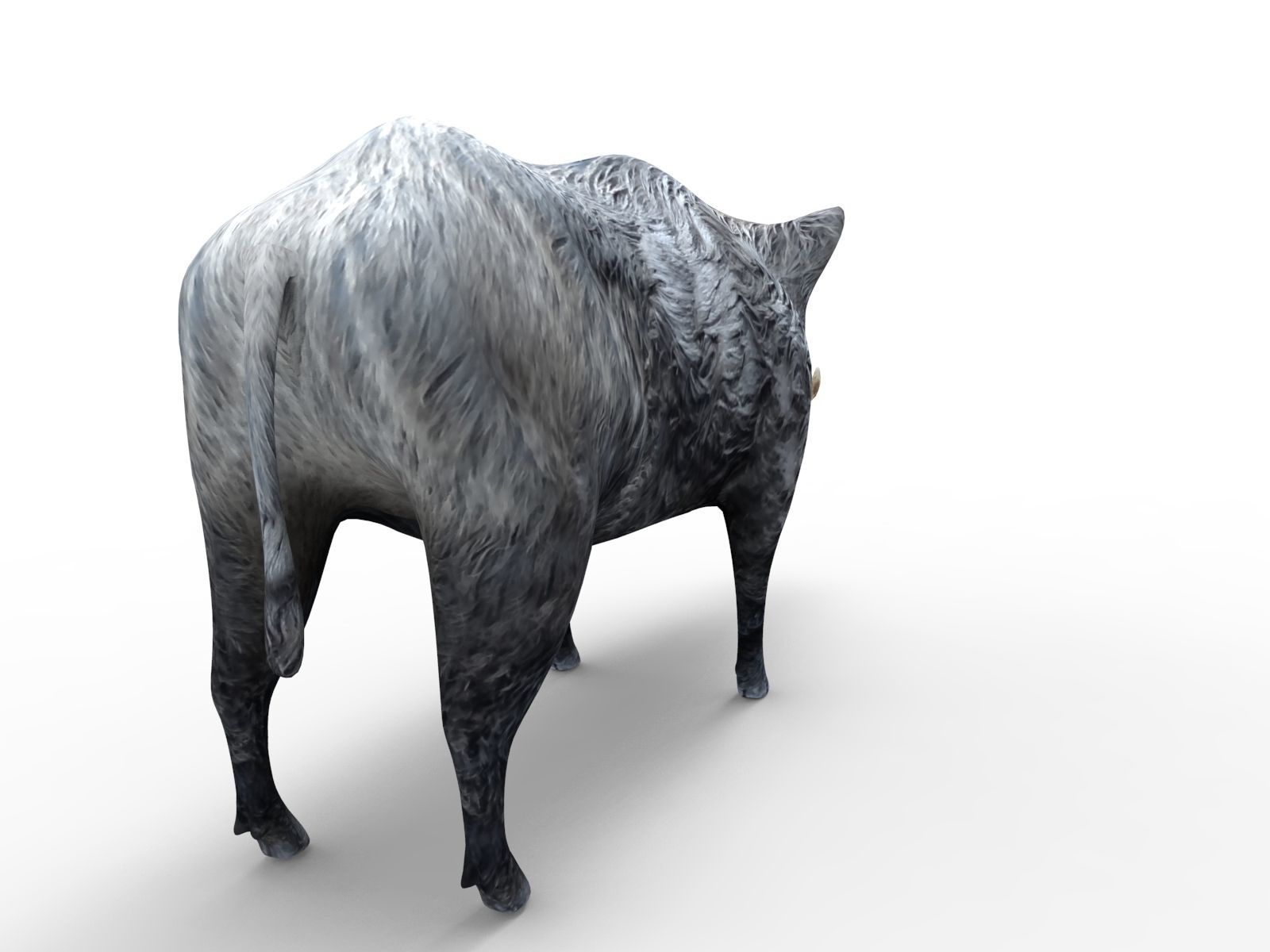 3D Wild Boar Rigged 3D Models Low-poly 3D model_5