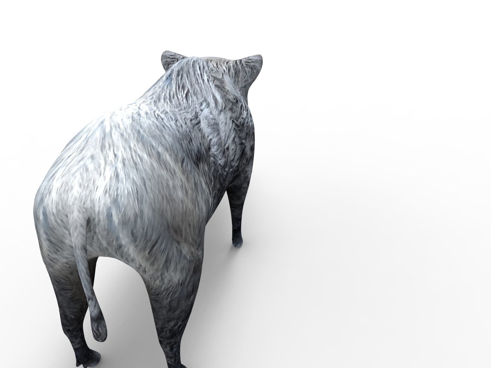3D Wild Boar Rigged 3D Models Low-poly 3D model_8