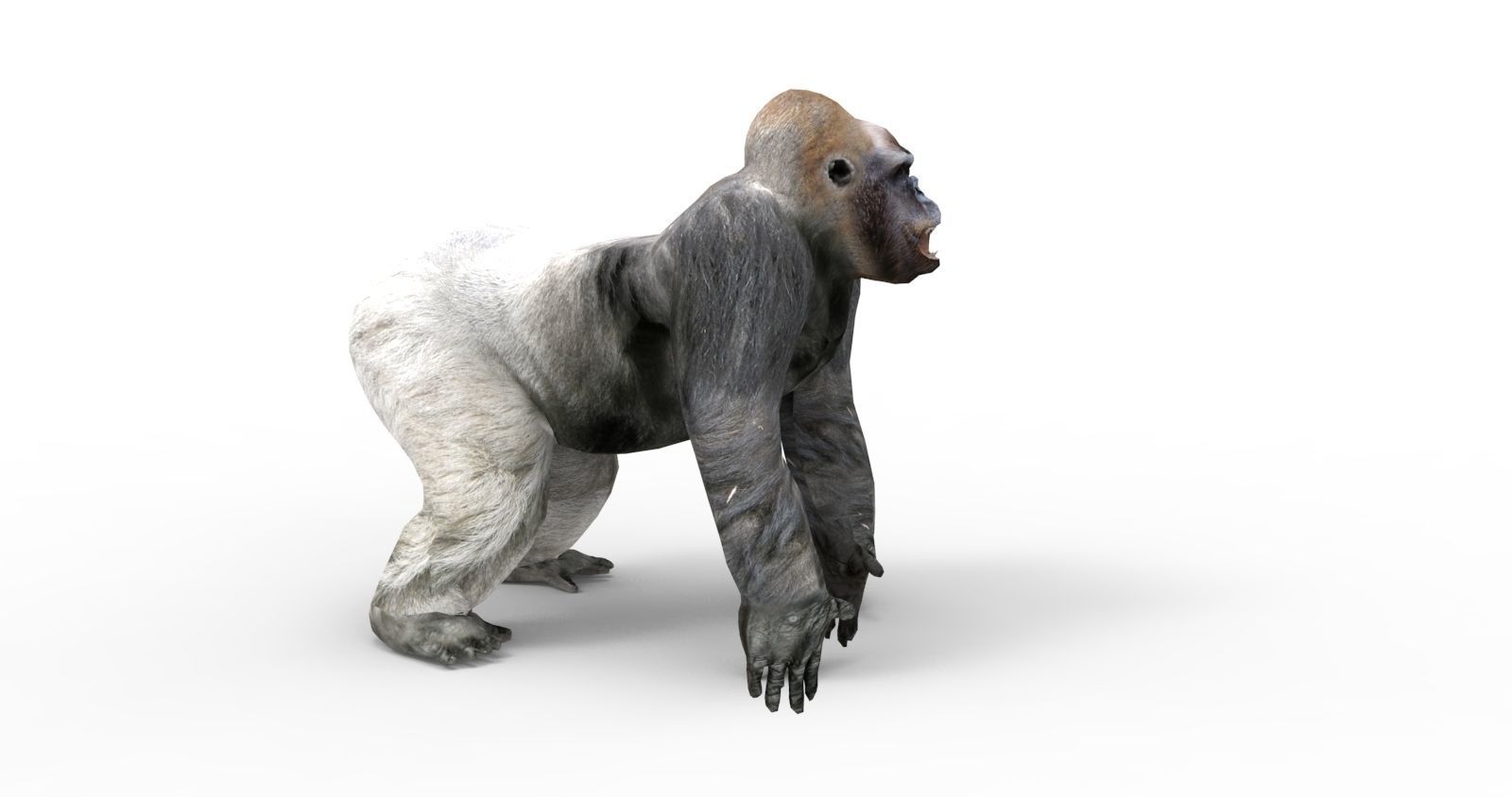  gorilla Rigged 3D Models game ready Low-poly 3D model_7