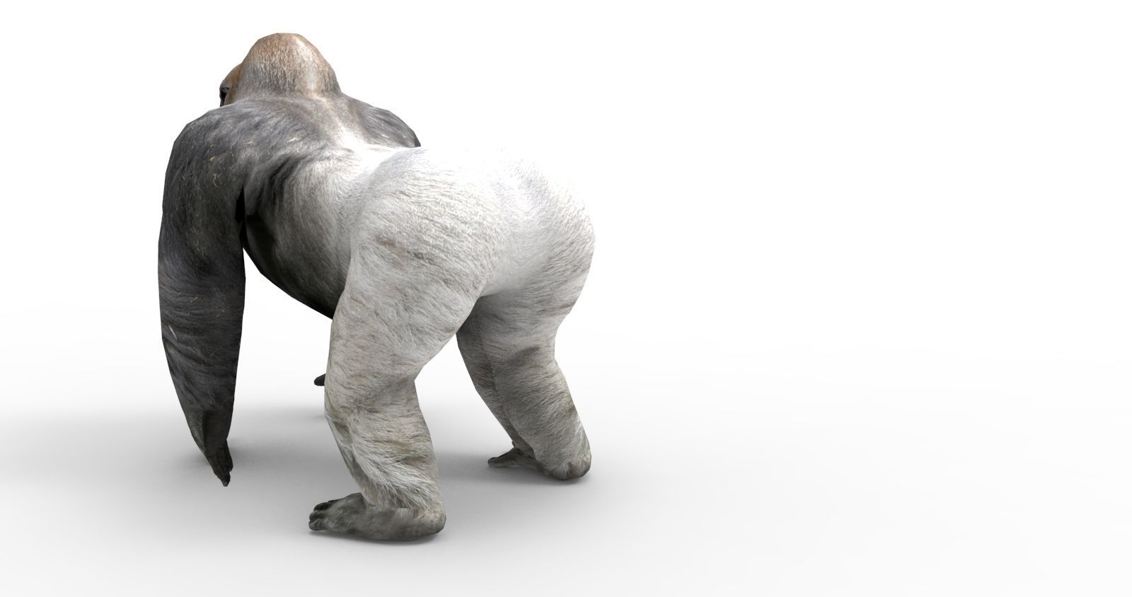  gorilla Rigged 3D Models game ready Low-poly 3D model_5