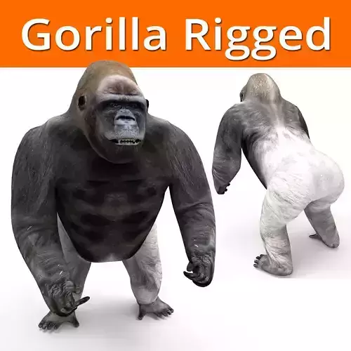  gorilla Rigged 3D Models game ready