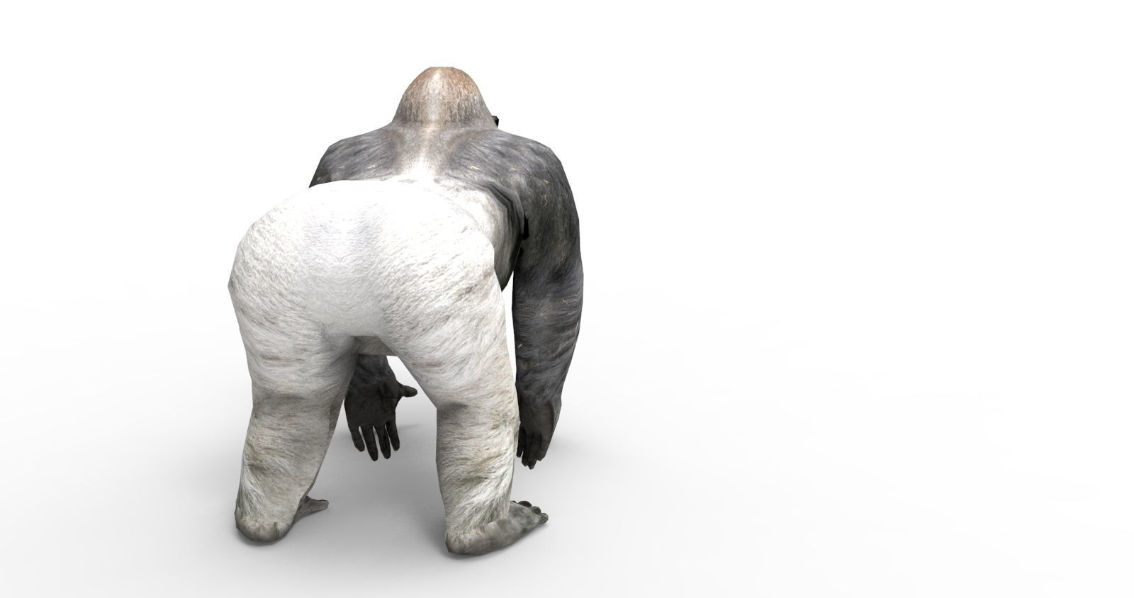  gorilla Rigged 3D Models game ready Low-poly 3D model_3