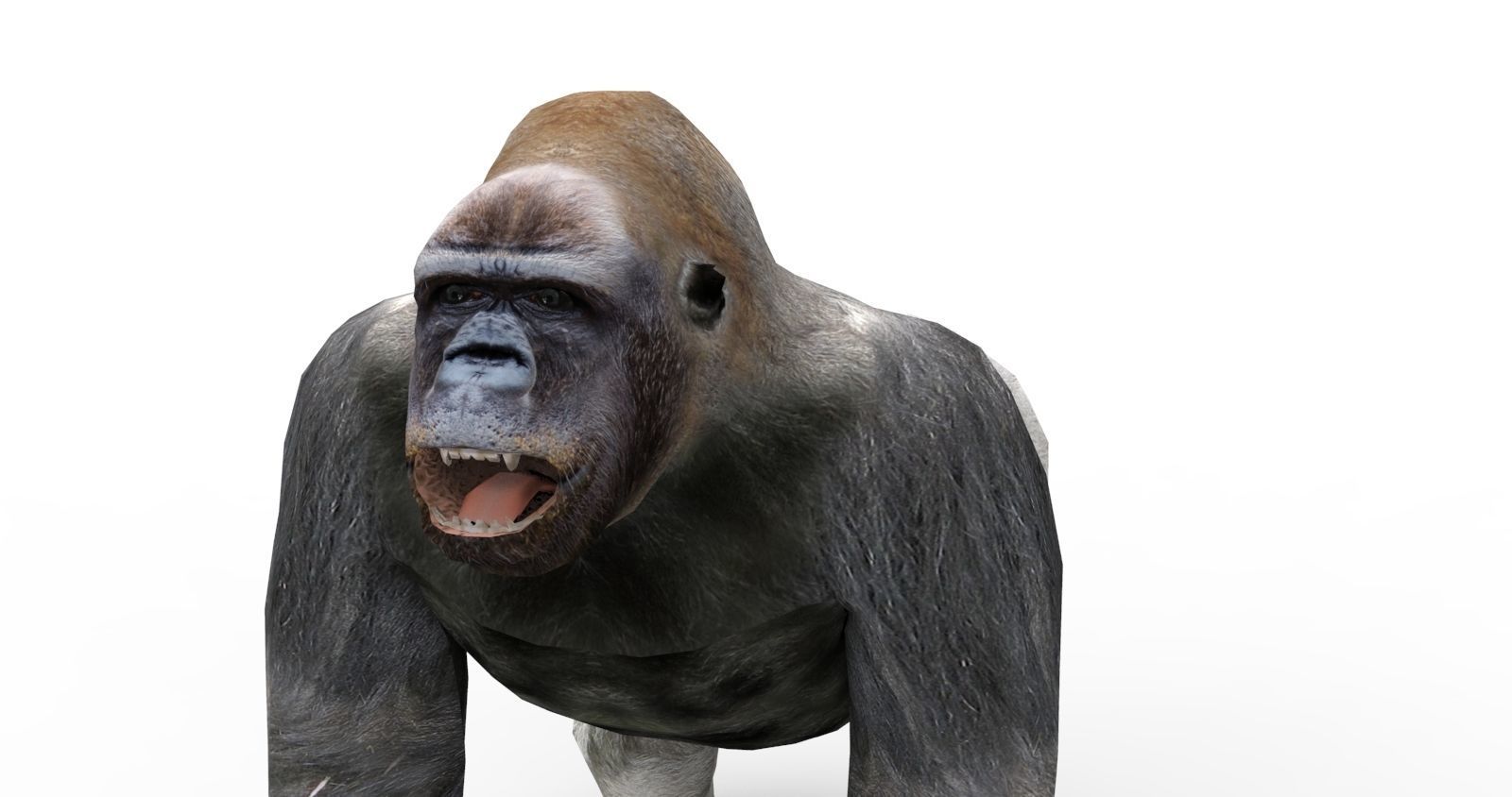  gorilla Rigged 3D Models game ready Low-poly 3D model_12