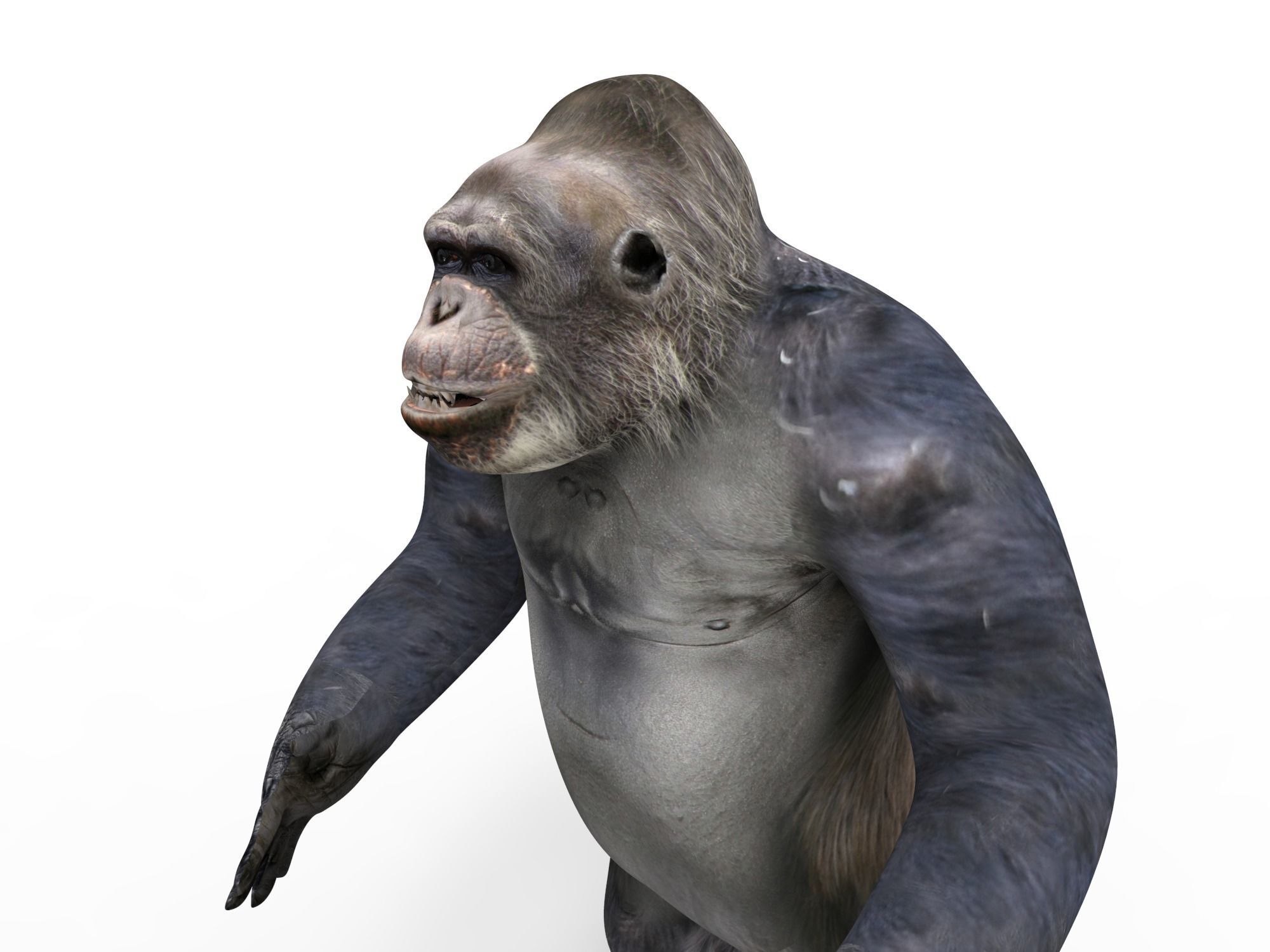 gorilla Rigged 3D Models game ready Low-poly 3D model_43
