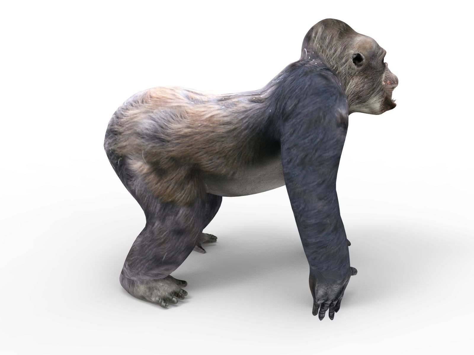 gorilla Rigged 3D Models game ready Low-poly 3D model_24
