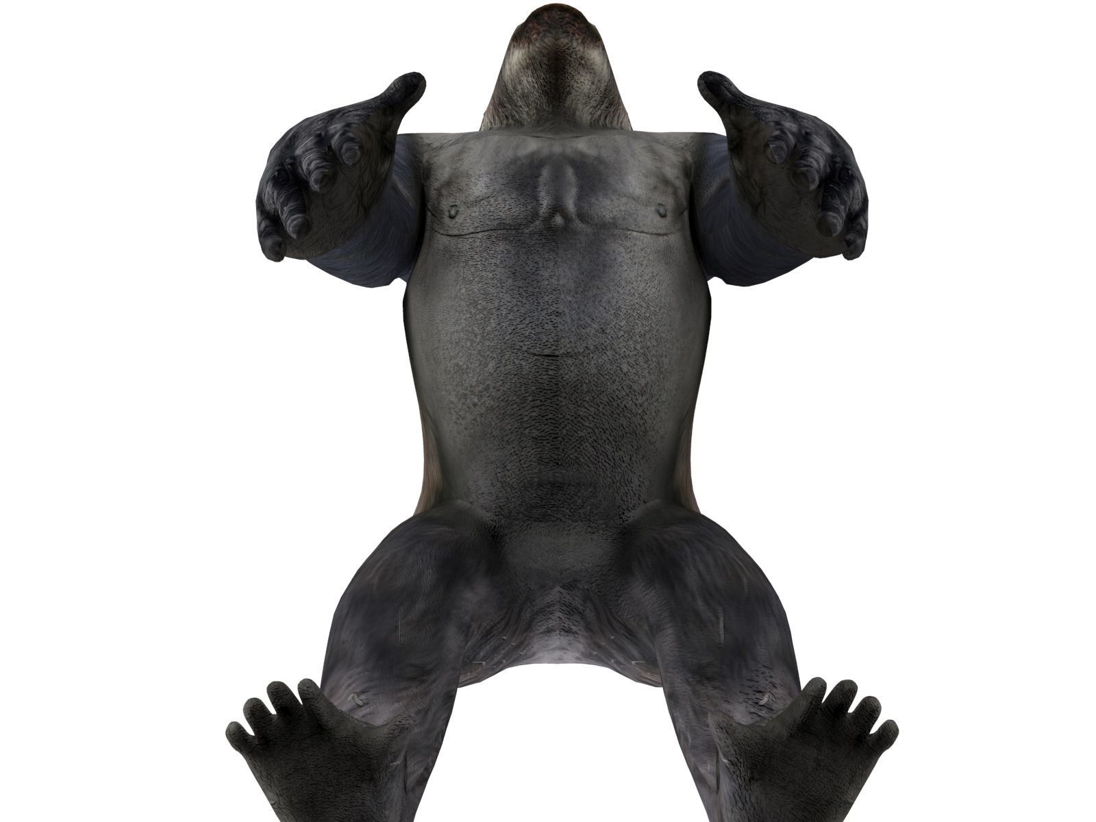 gorilla Rigged 3D Models game ready Low-poly 3D model_7