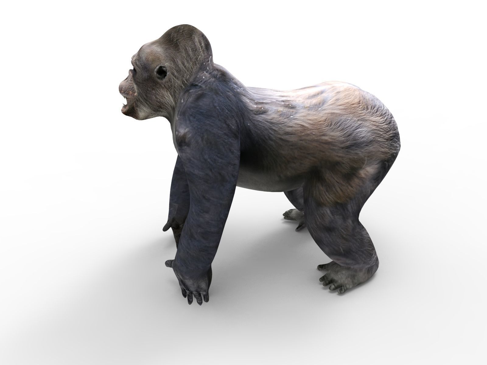 gorilla Rigged 3D Models game ready Low-poly 3D model_30
