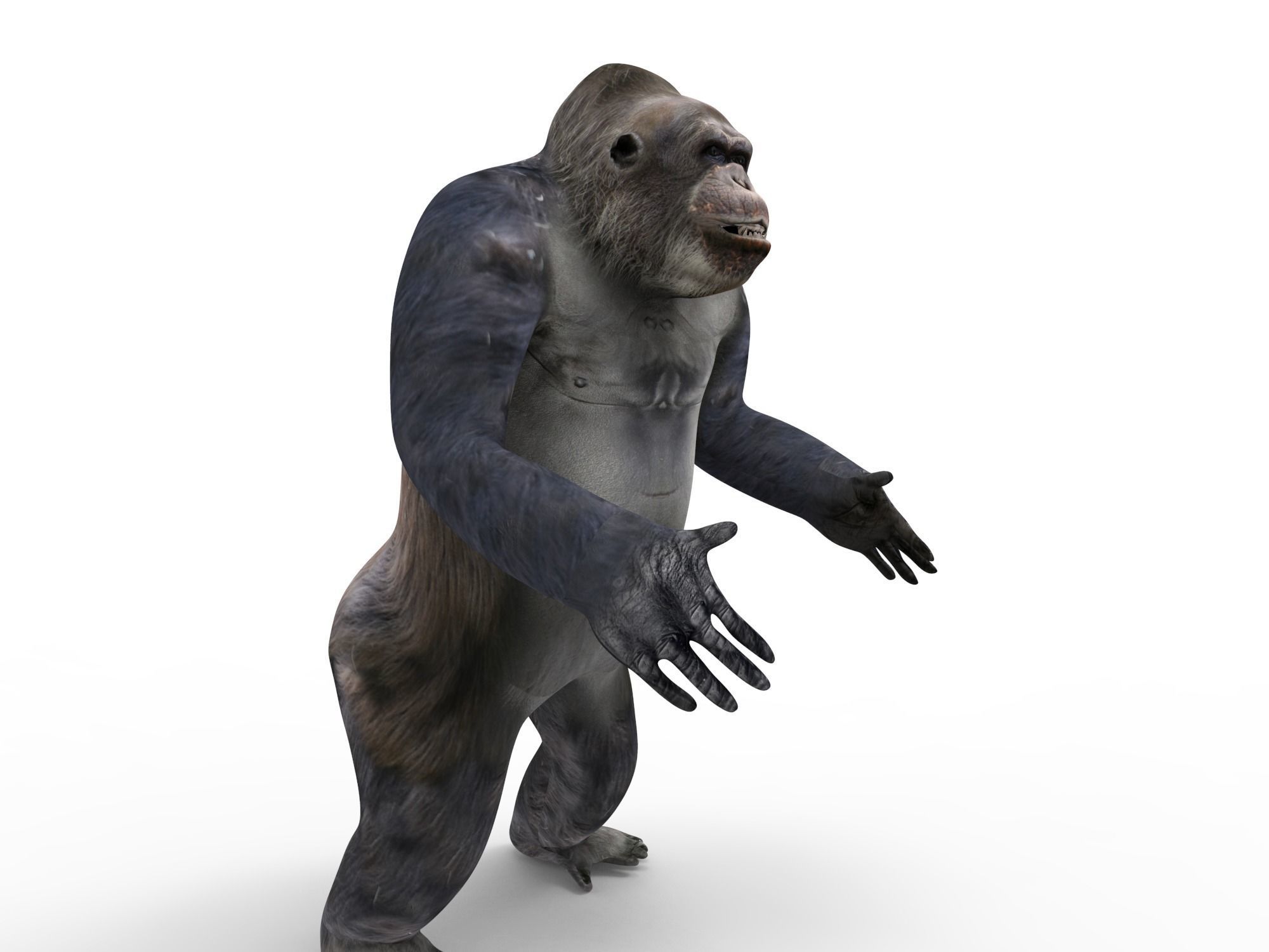 gorilla Rigged 3D Models game ready Low-poly 3D model_44