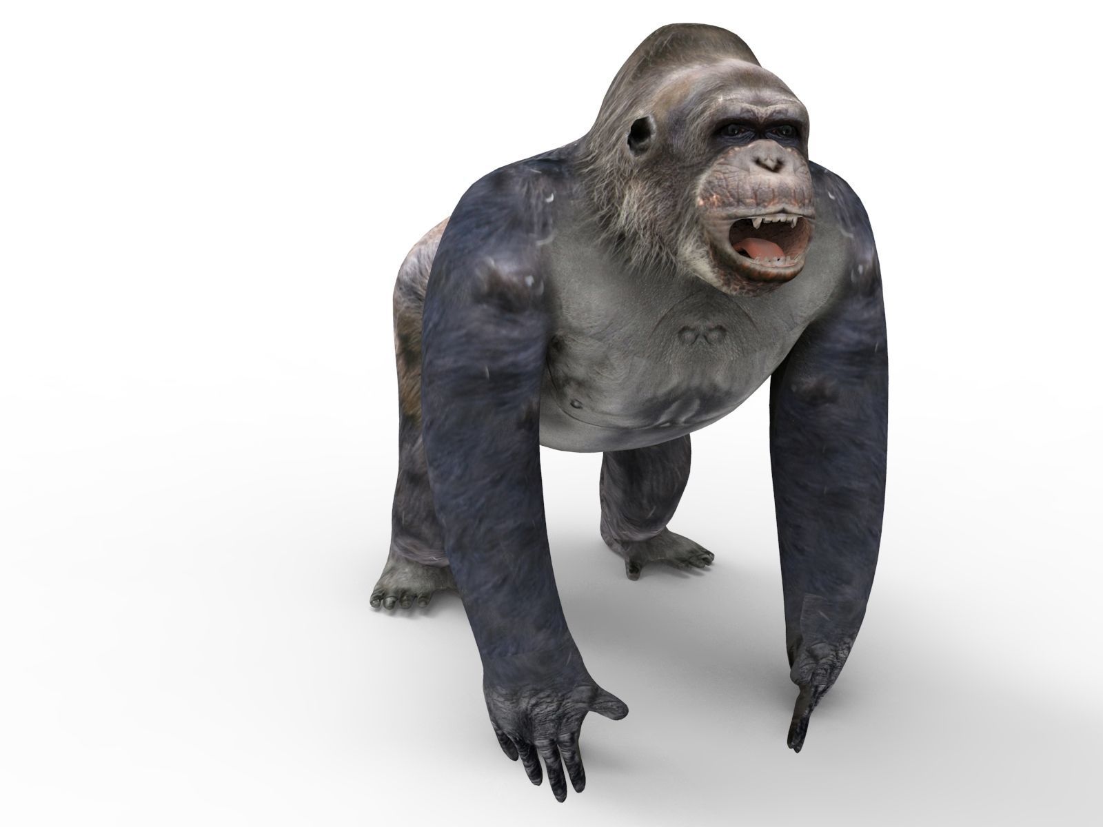 gorilla Rigged 3D Models game ready Low-poly 3D model_17