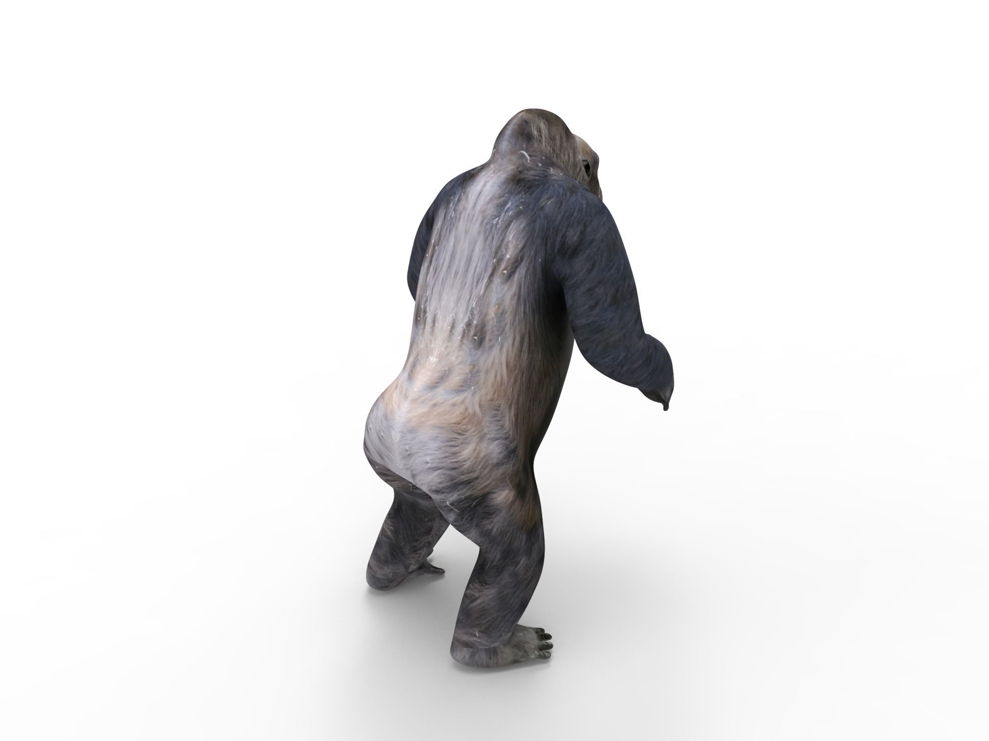gorilla Rigged 3D Models game ready Low-poly 3D model_46