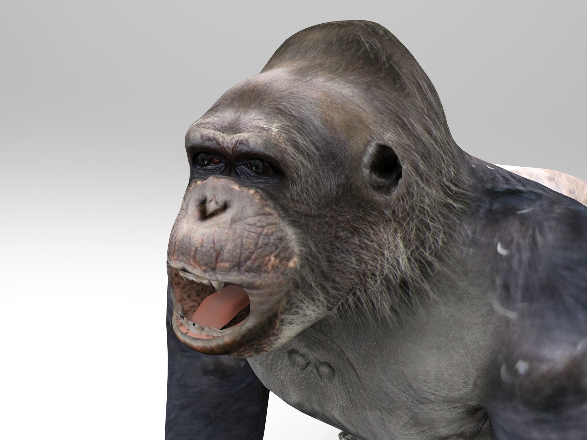 gorilla Rigged 3D Models game ready Low-poly 3D model_5