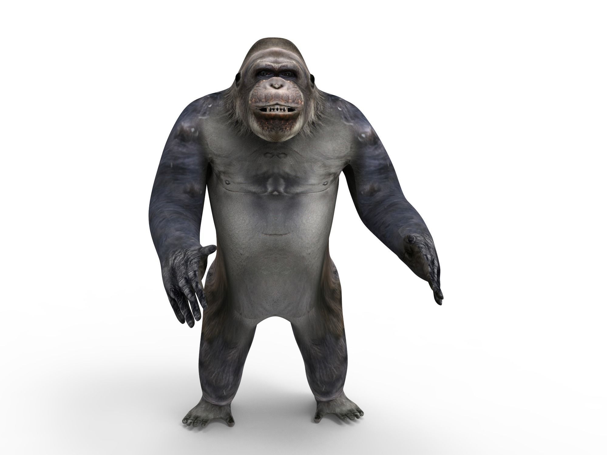 gorilla Rigged 3D Models game ready Low-poly 3D model_9