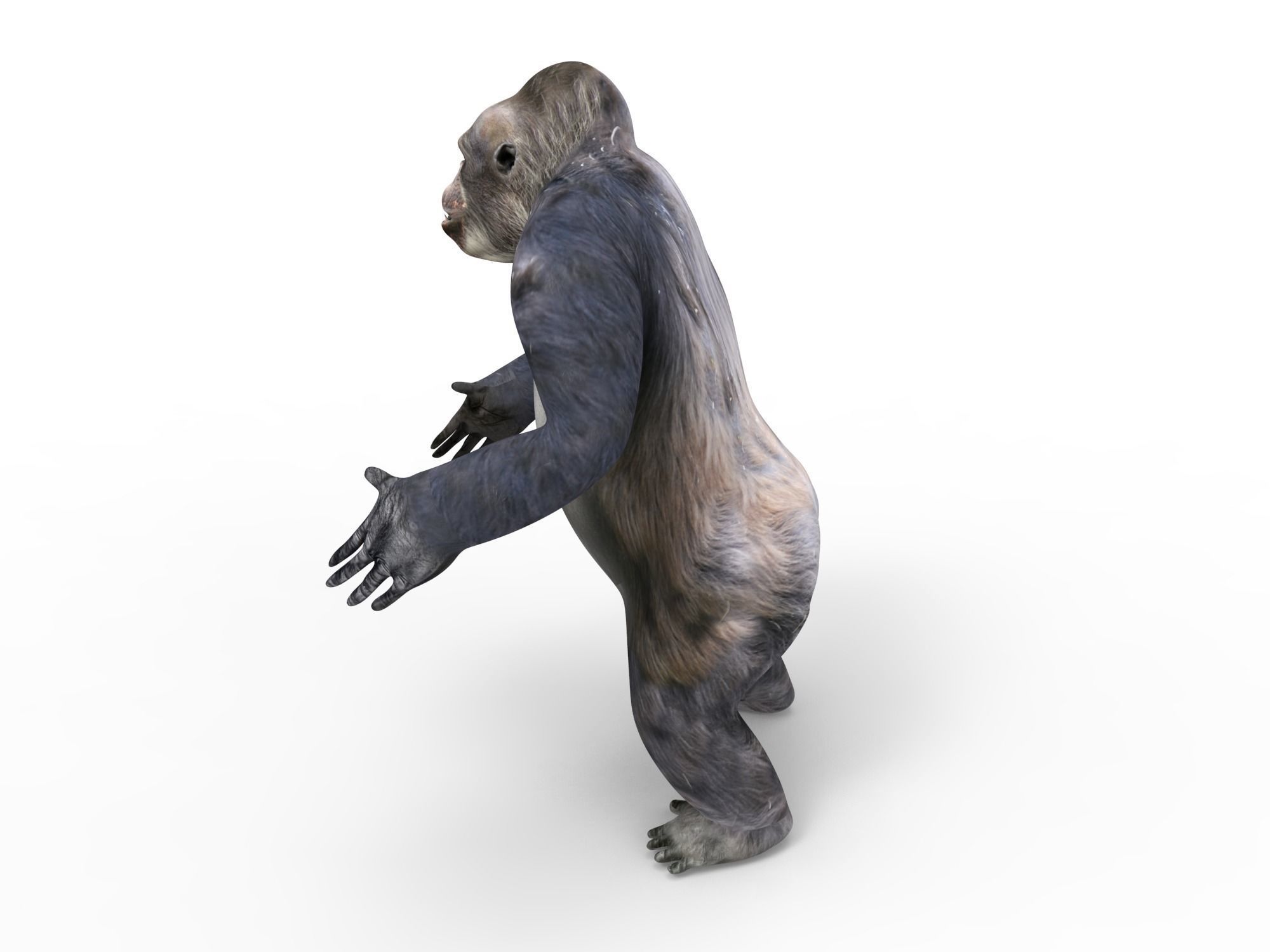 gorilla Rigged 3D Models game ready Low-poly 3D model_45