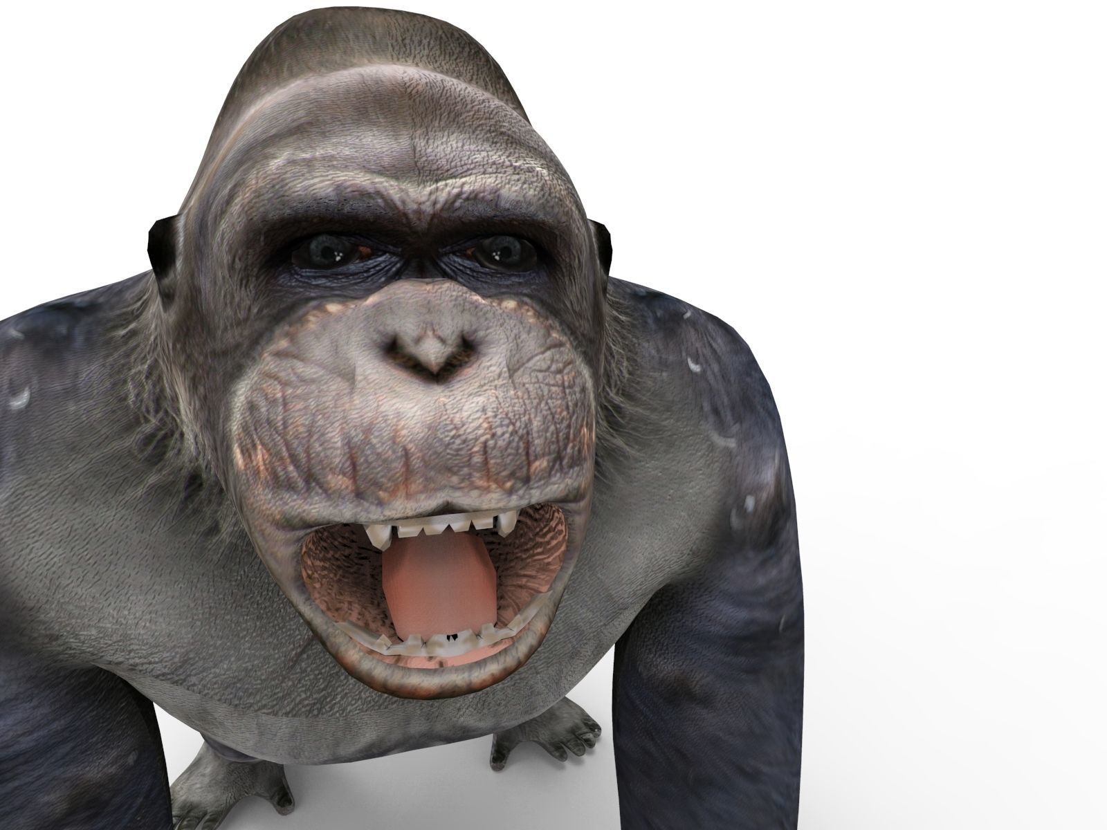 gorilla Rigged 3D Models game ready Low-poly 3D model_42