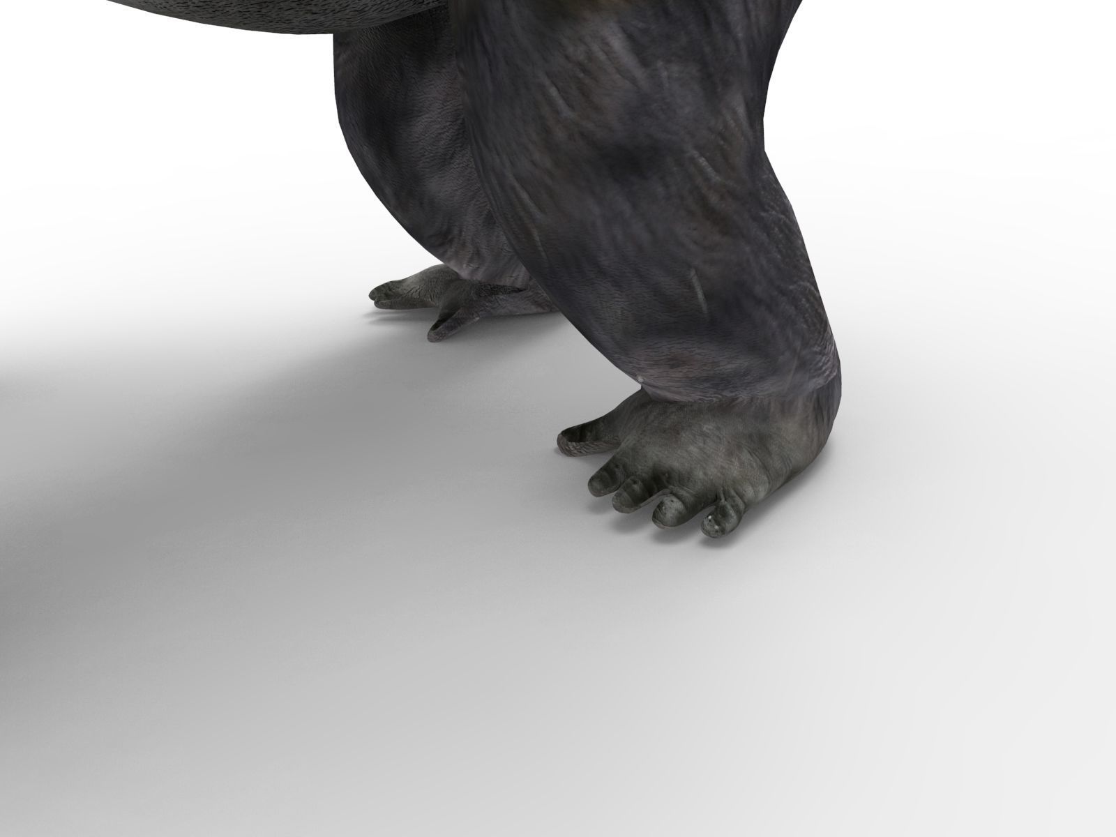 gorilla Rigged 3D Models game ready Low-poly 3D model_37