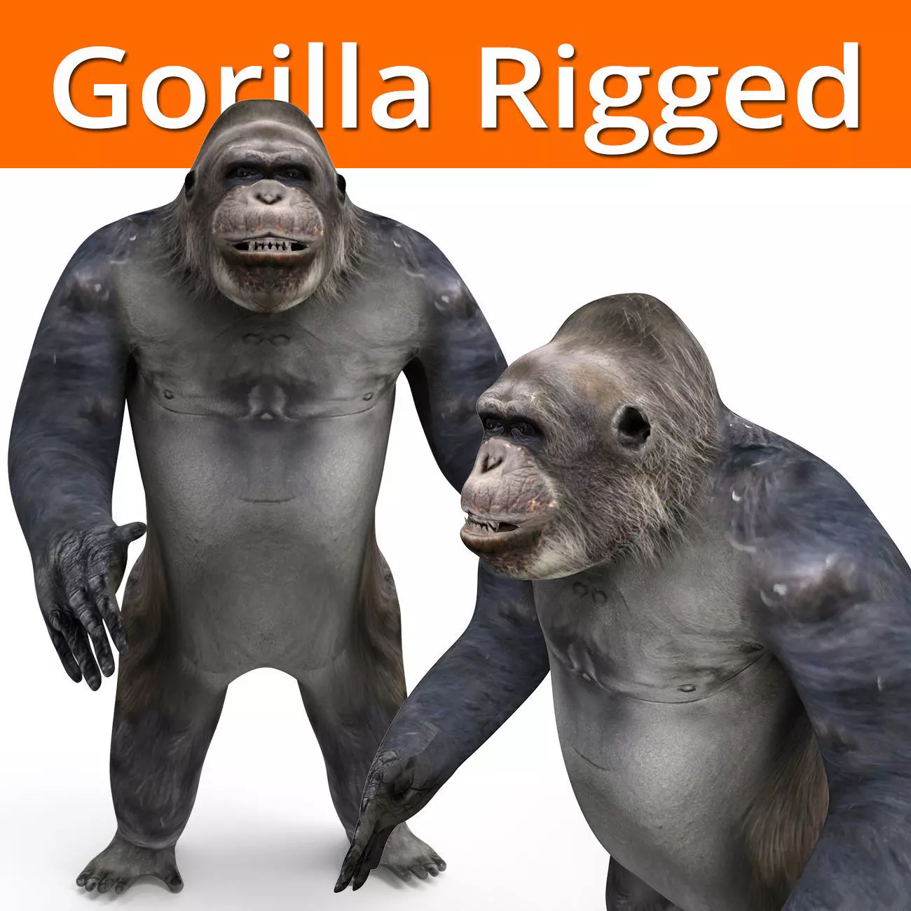 gorilla Rigged 3D Models game ready Low-poly 3D model_0