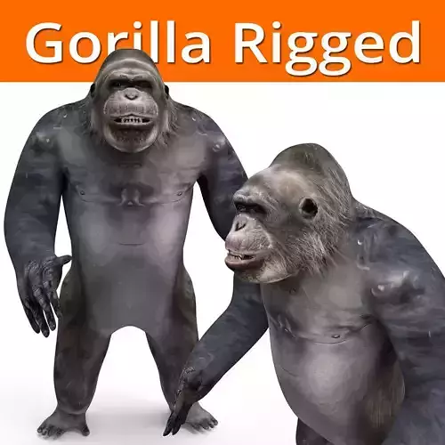 gorilla Rigged 3D Models game ready