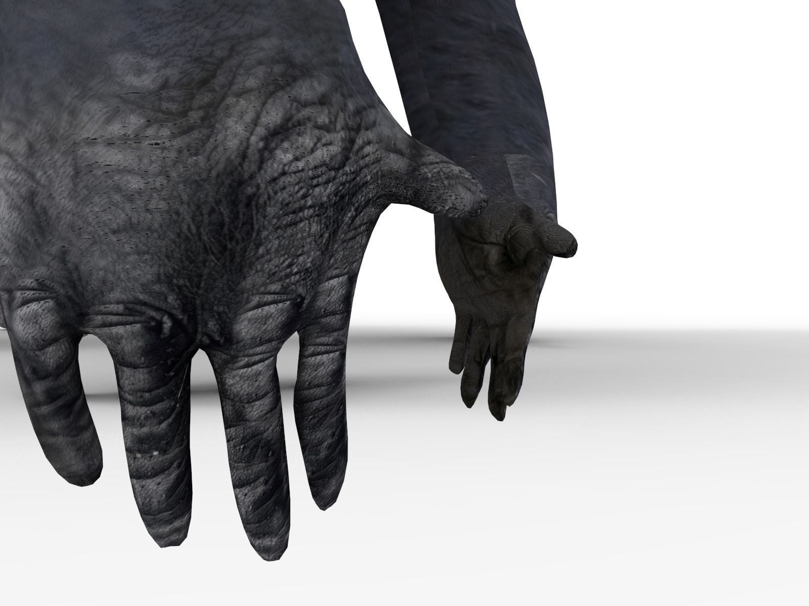 gorilla Rigged 3D Models game ready Low-poly 3D model_8