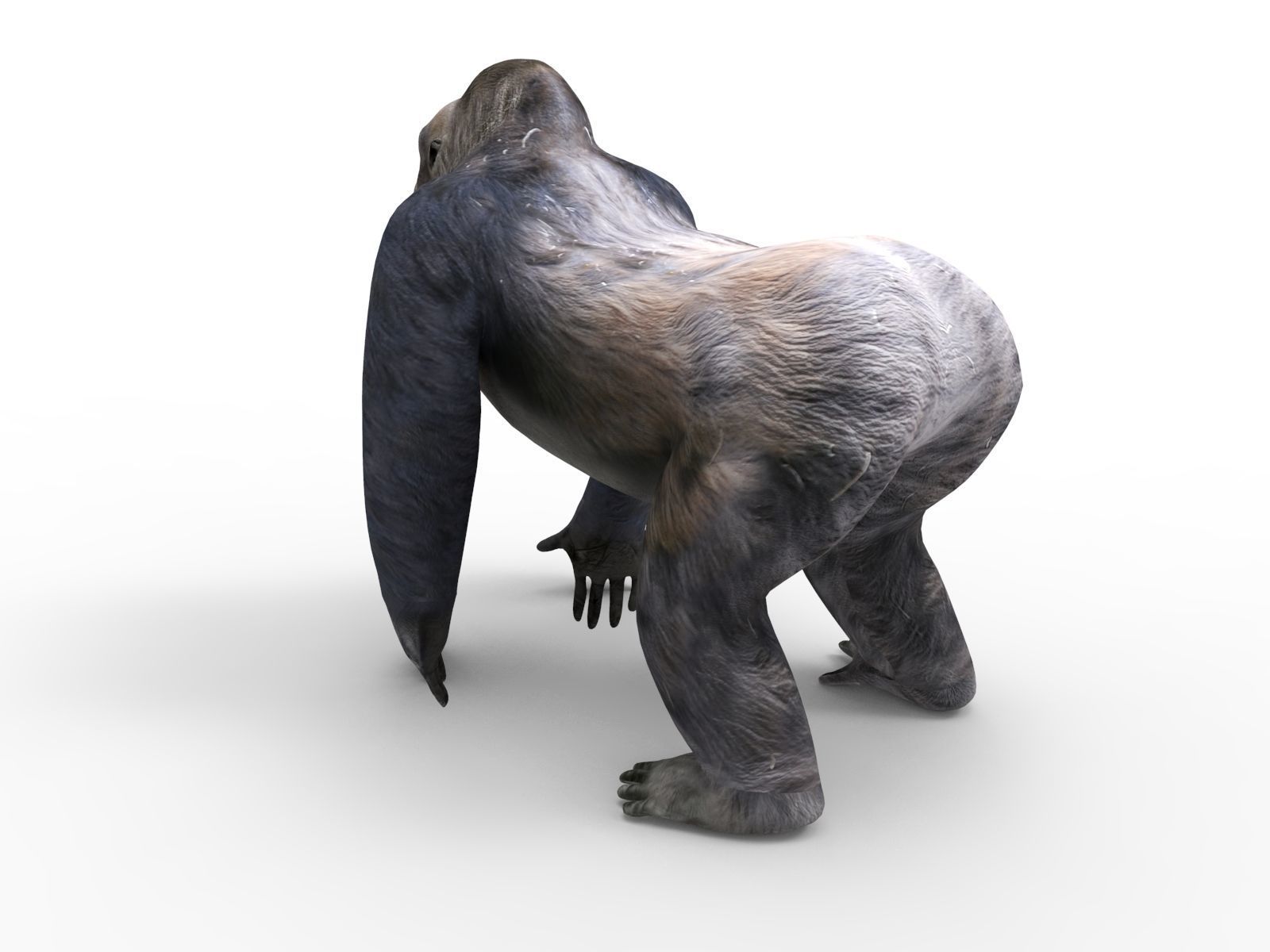 gorilla Rigged 3D Models game ready Low-poly 3D model_4