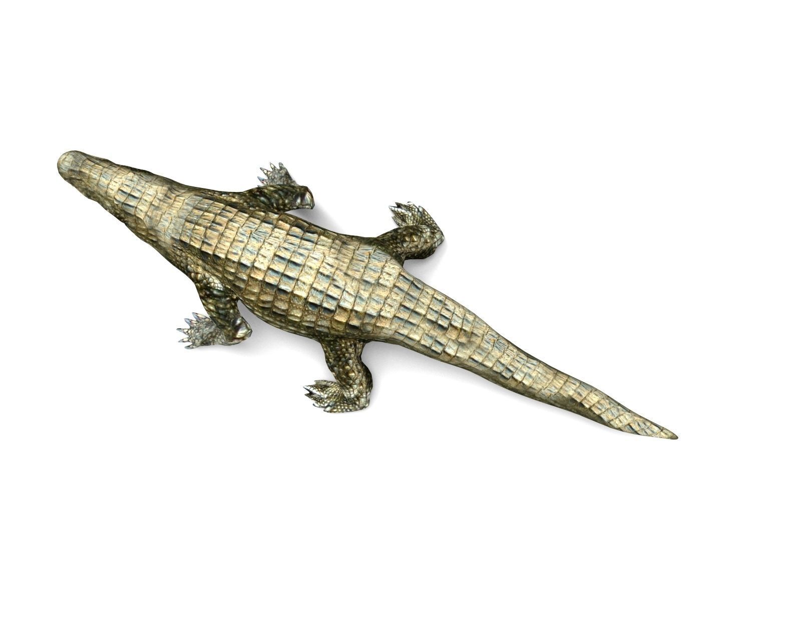 Crocodile Rigged 3D Models game ready Low-poly 3D model_18