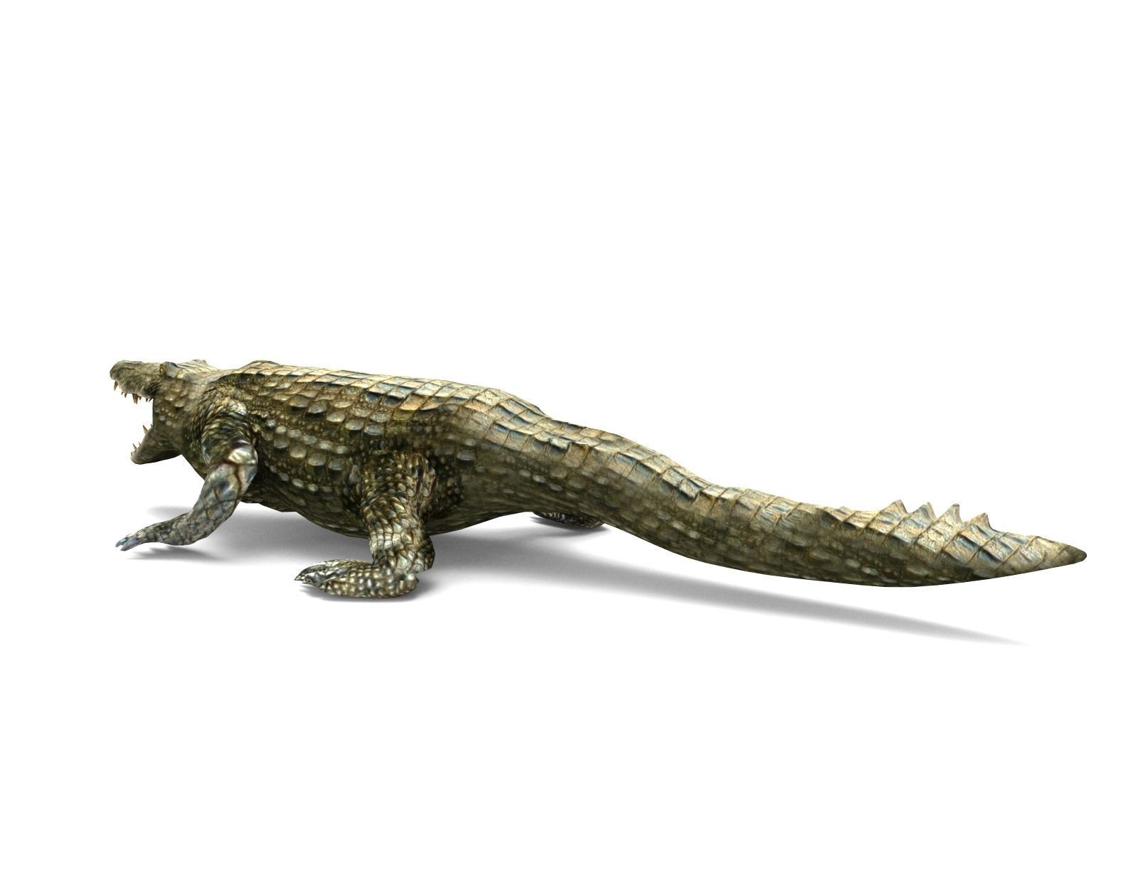 Crocodile Rigged 3D Models game ready Low-poly 3D model_17