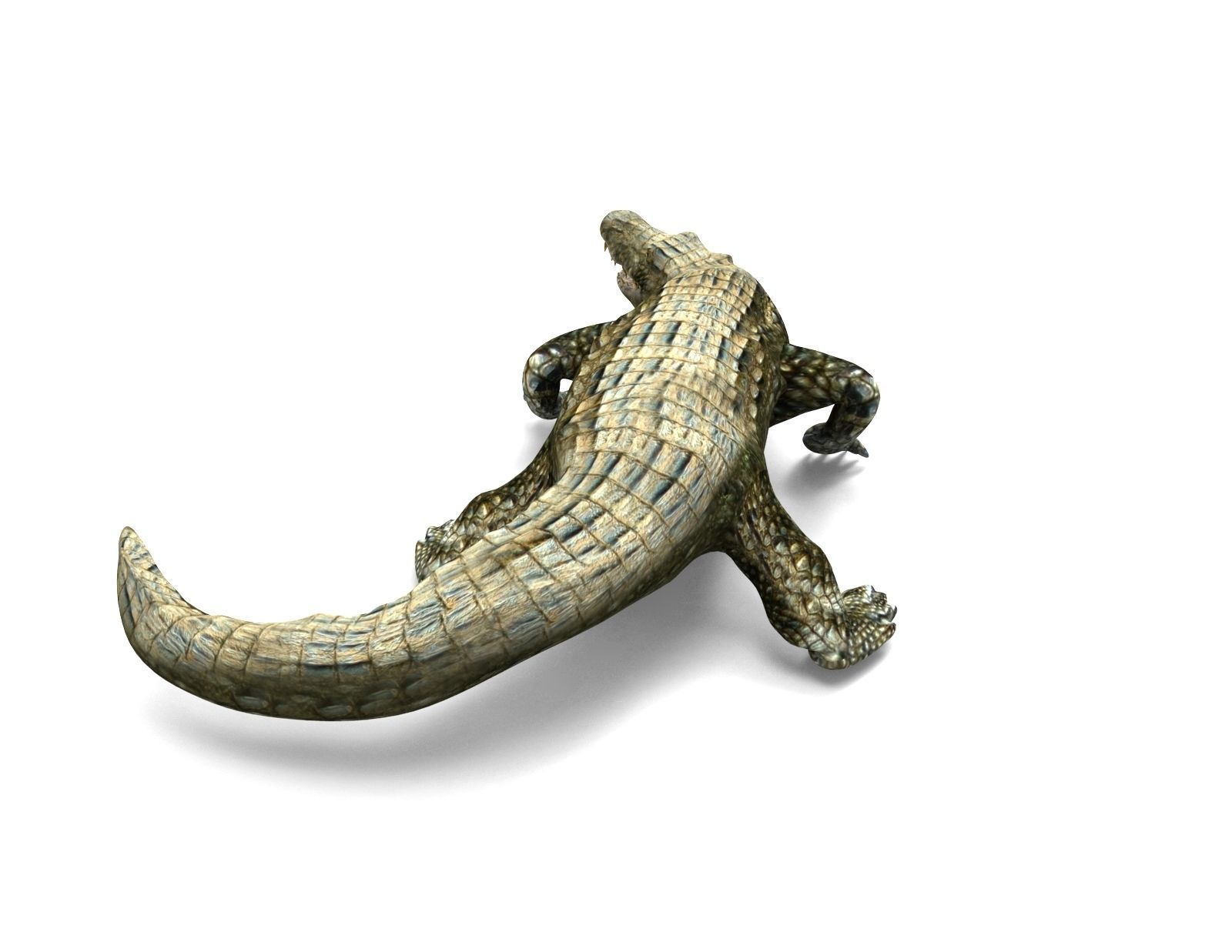 Crocodile Rigged 3D Models game ready Low-poly 3D model_2