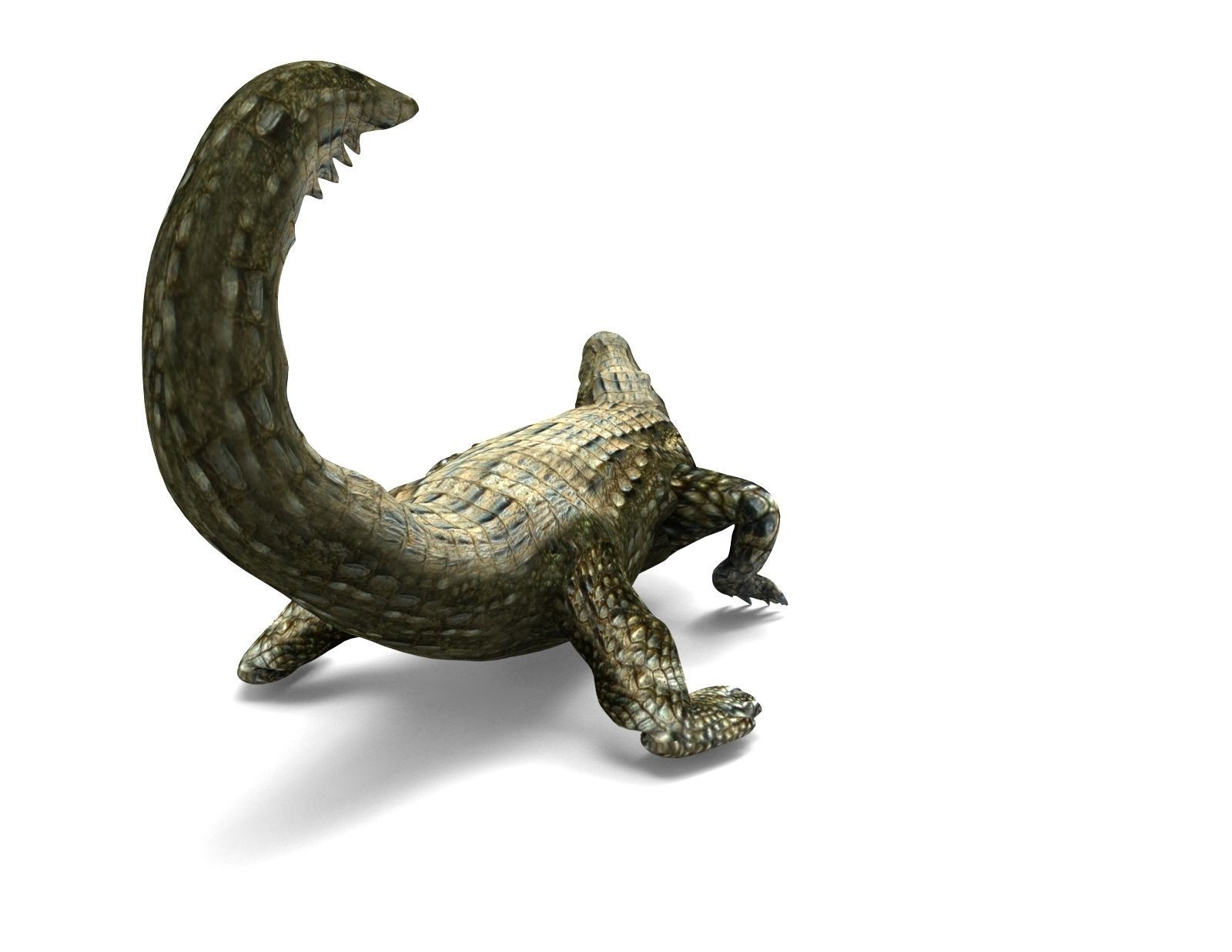 Crocodile Rigged 3D Models game ready Low-poly 3D model_11
