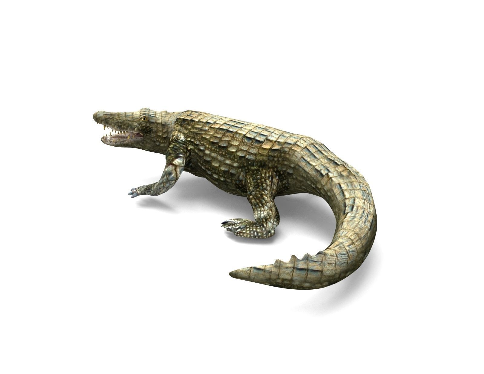 Crocodile Rigged 3D Models game ready Low-poly 3D model_6