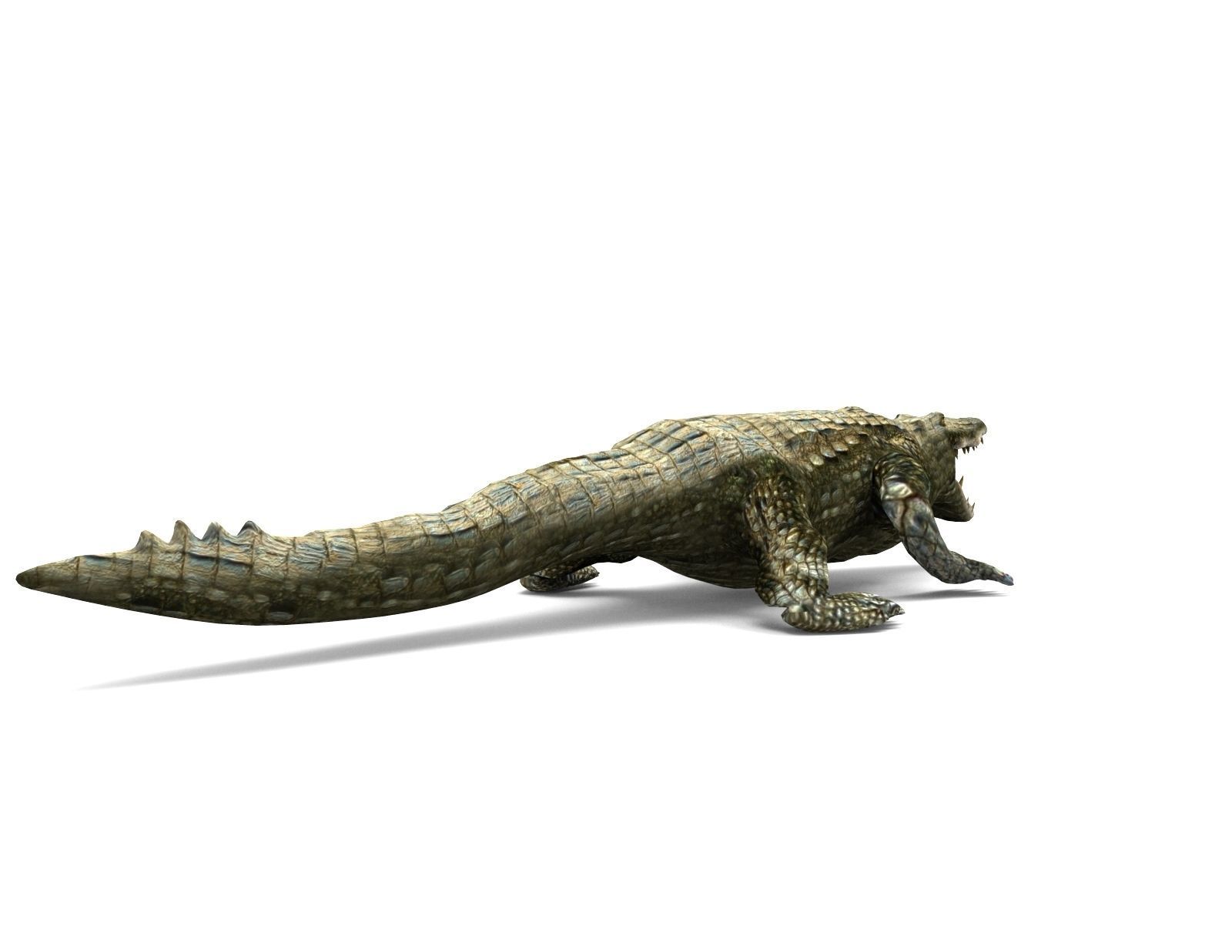 Crocodile Rigged 3D Models game ready Low-poly 3D model_16