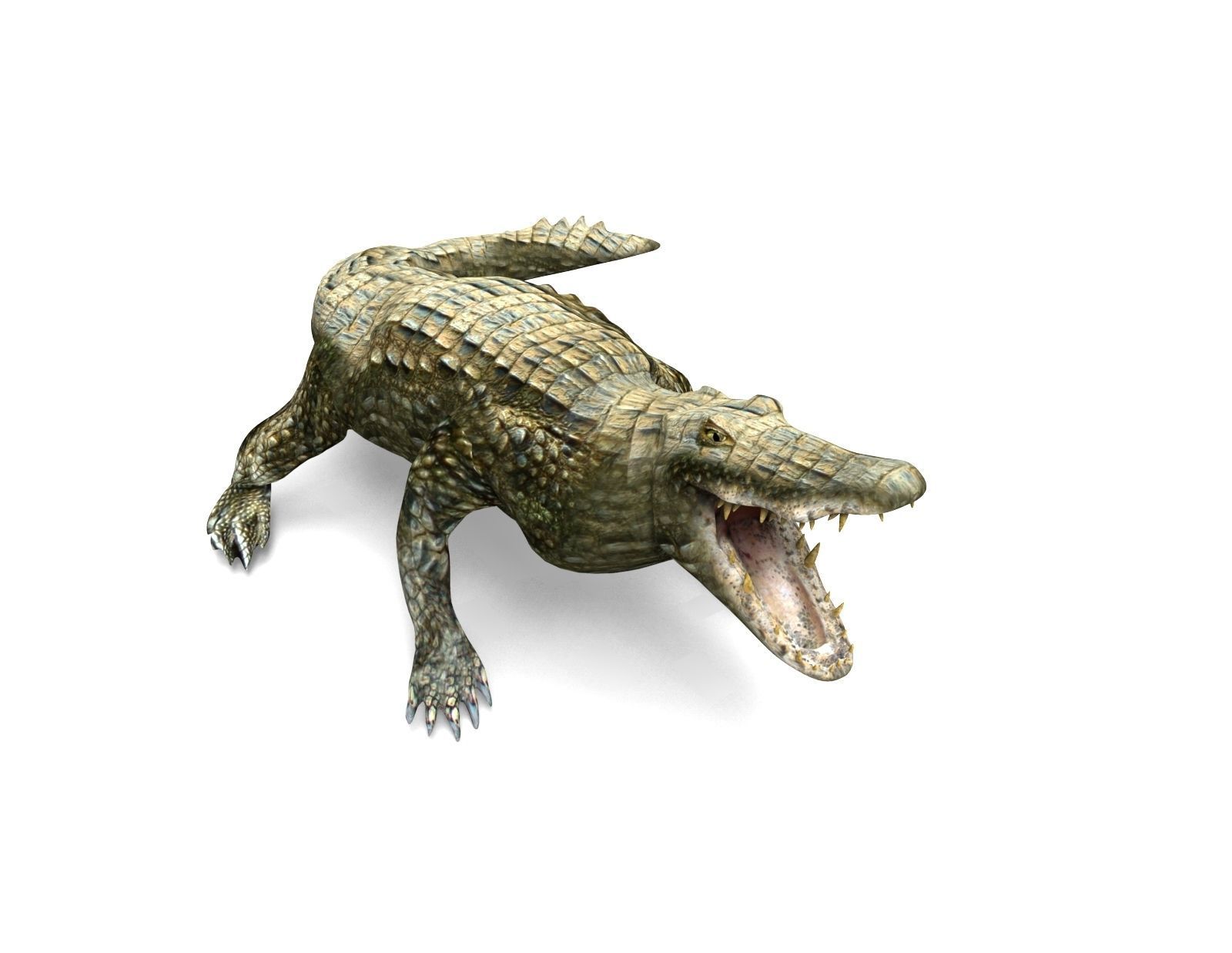 Crocodile Rigged 3D Models game ready Low-poly 3D model_7
