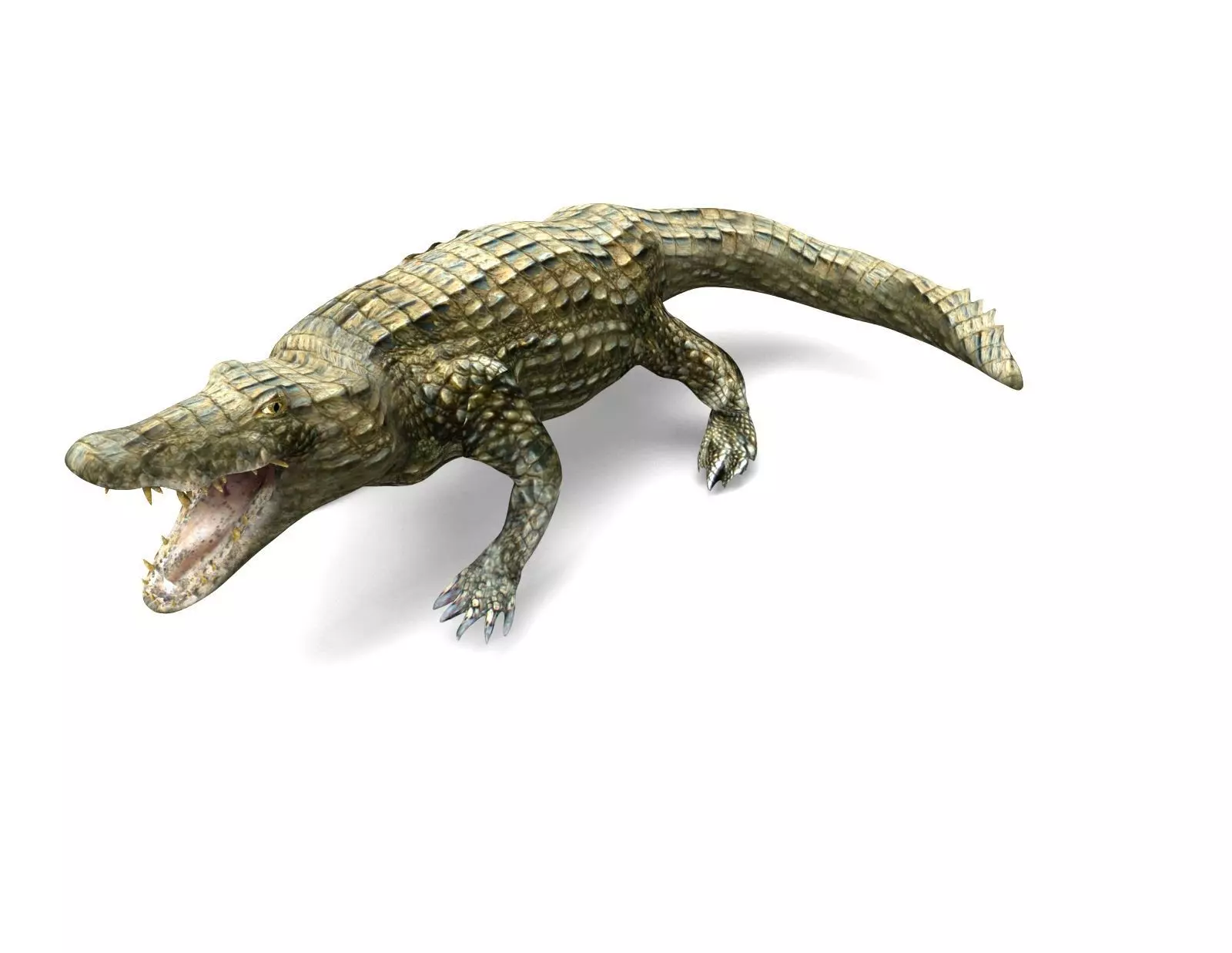 Crocodile Rigged 3D Models game ready Low-poly 3D model_0