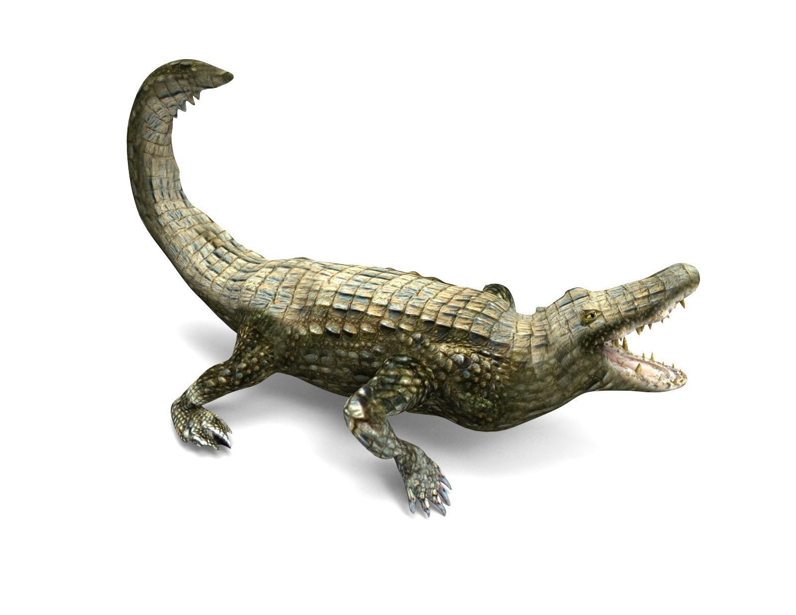 Crocodile Rigged 3D Models game ready Low-poly 3D model_10