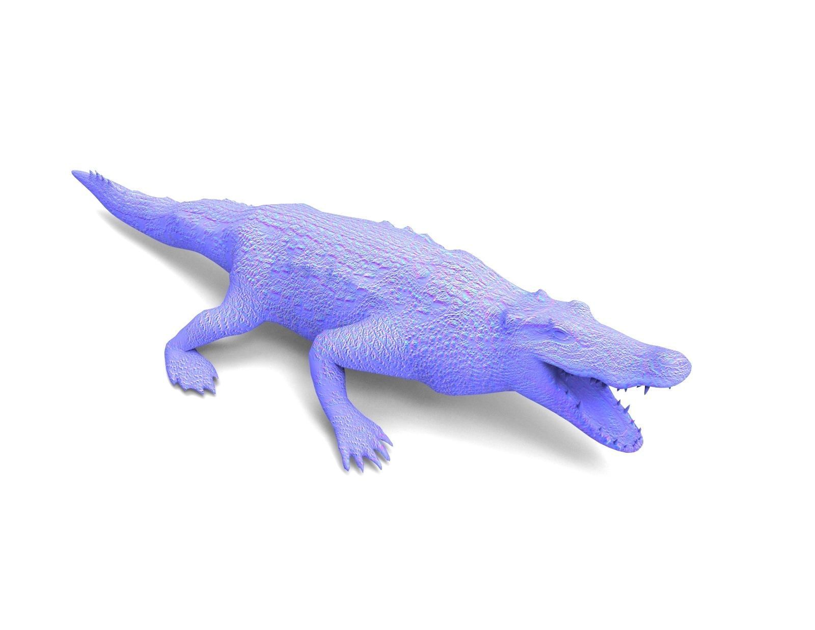 3D Low poly Wild Crocodile Rigged  Low-poly 3D model_25