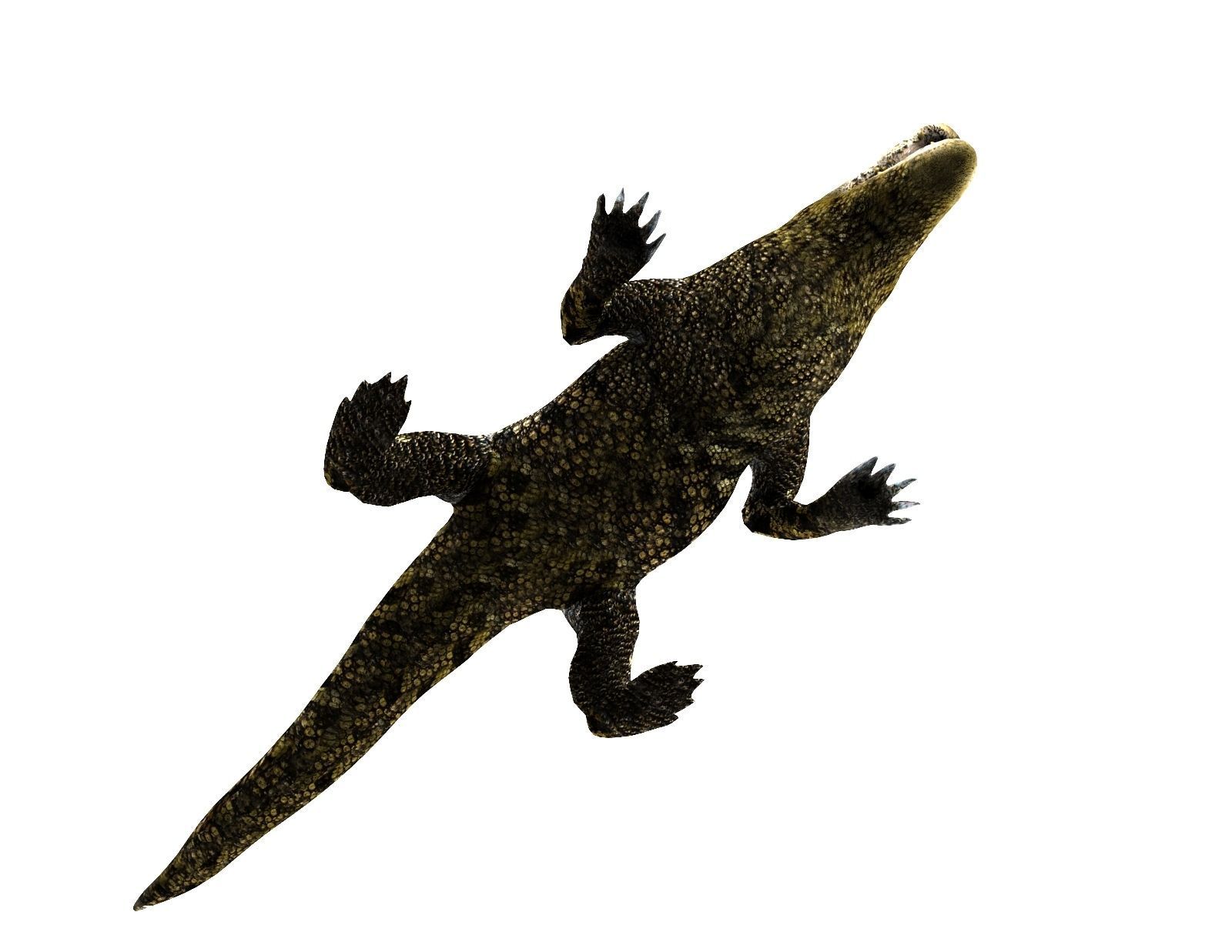 3D Low poly Wild Crocodile Rigged  Low-poly 3D model_13