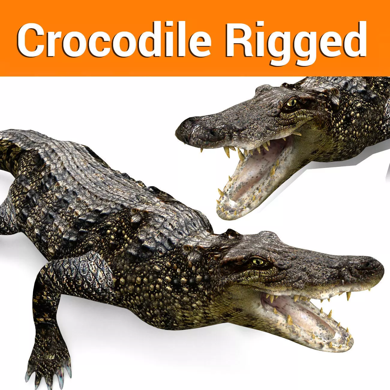3D Low poly Wild Crocodile Rigged  Low-poly 3D model_0