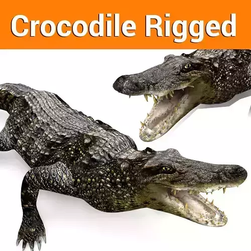 3D Low poly Wild Crocodile Rigged  Low-poly 3D model