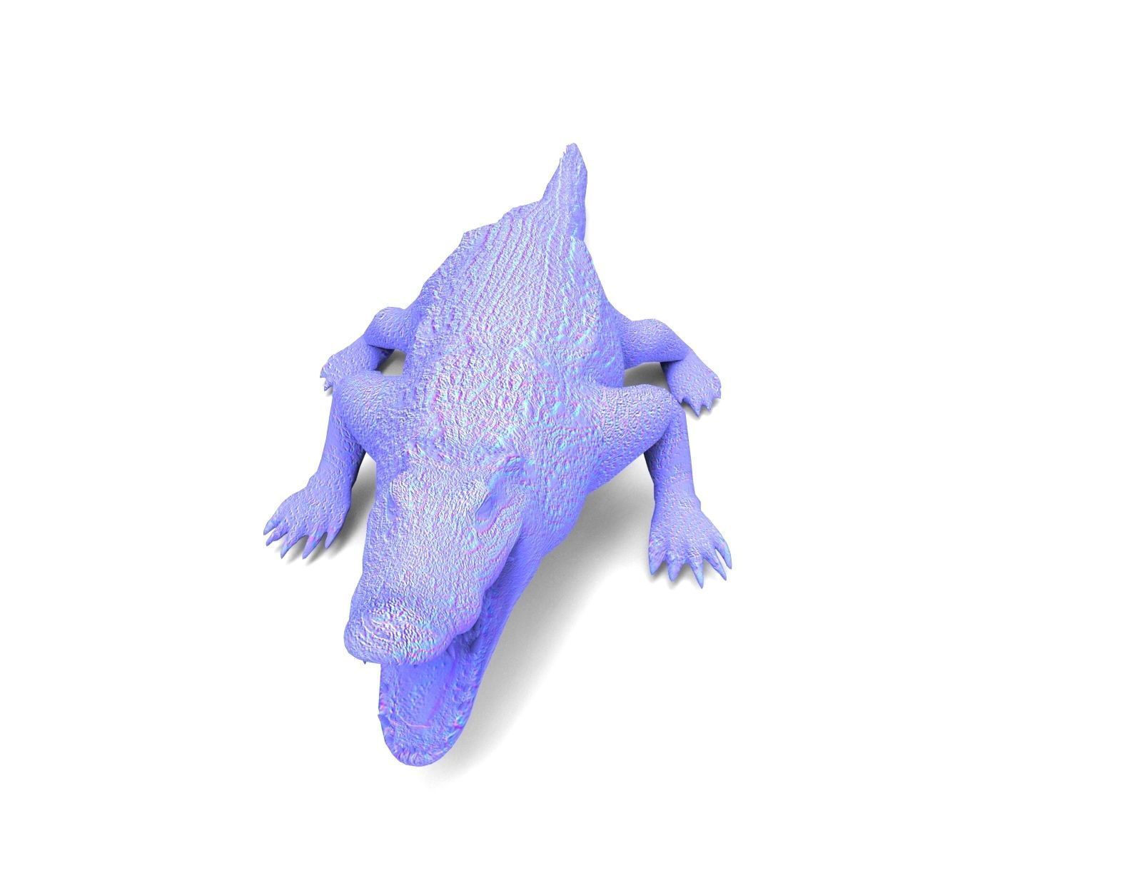 3D Low poly Wild Crocodile Rigged  Low-poly 3D model_26