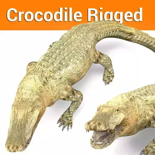 3D Crocodile Rigged Model Low-poly 3D model